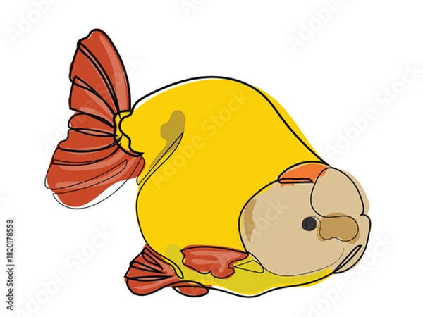 Obraz Goldfish in a continuous line drawing style