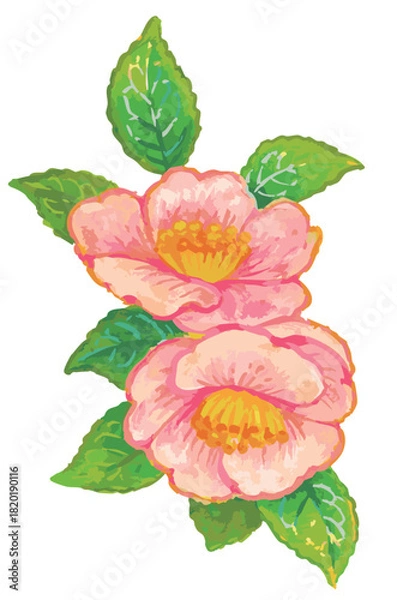 Obraz サザンカのスケッチ素材。ベクターイラスト素材。