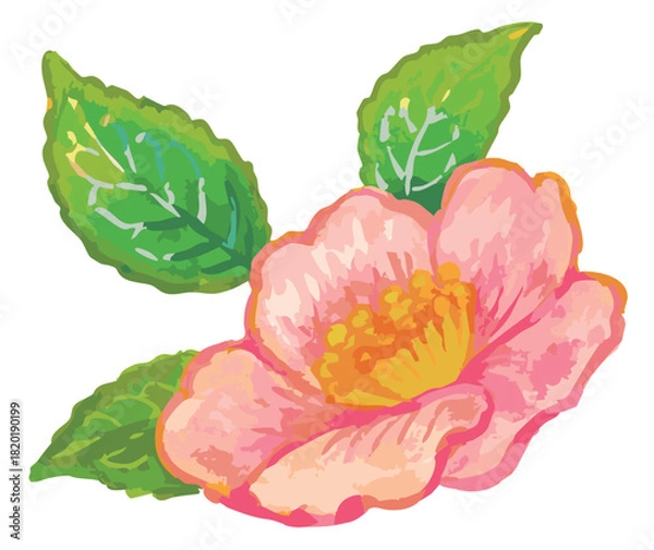 Obraz サザンカのスケッチ素材。ベクターイラスト素材。