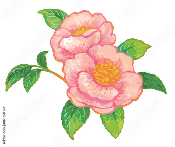 Obraz サザンカのスケッチ素材。ベクターイラスト素材。