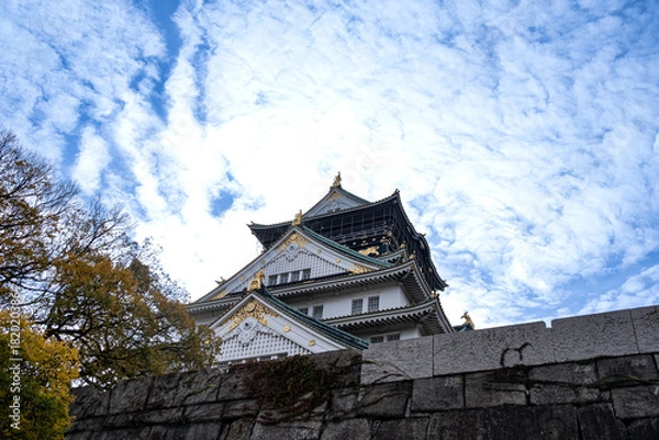 Obraz 大阪城