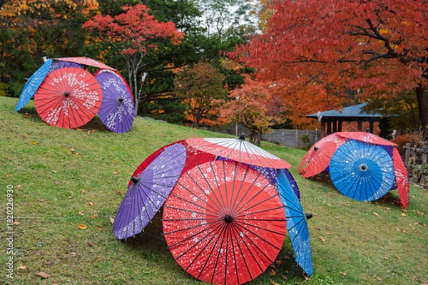 Obraz 秋彩に包まれて、和傘の舞