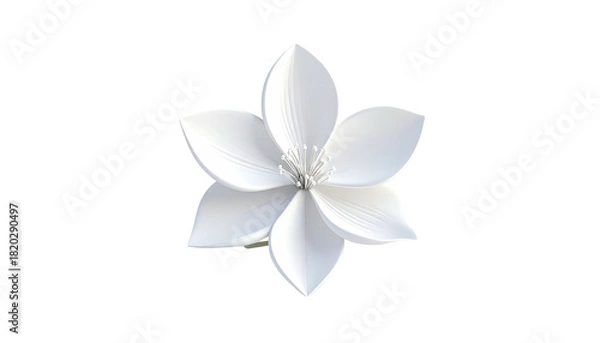 Fototapeta Isolated, pristine white blossom, rendered against a stark black background