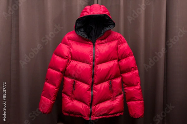 Obraz down jacket