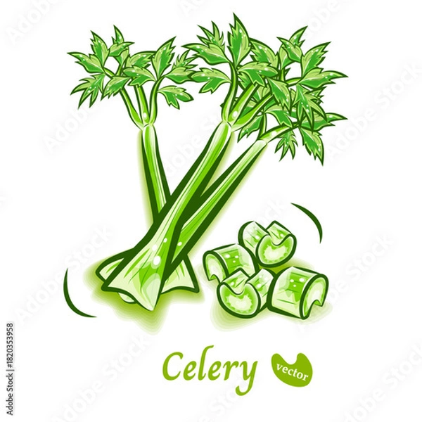 Obraz 新鮮なセロリのポップなイラスト｜野菜のベクター素材