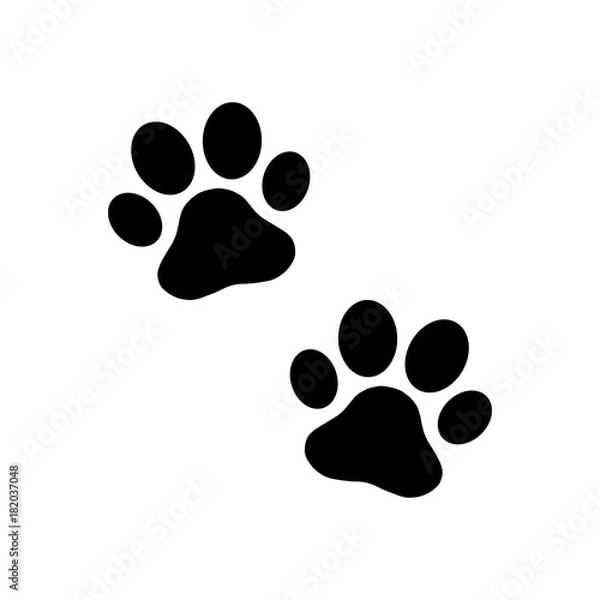 Obraz Paw print dog