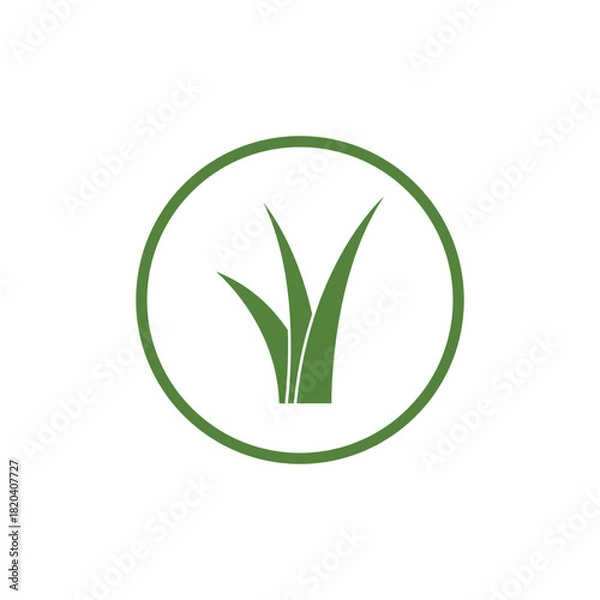 Obraz Grass logo vector and symbol design