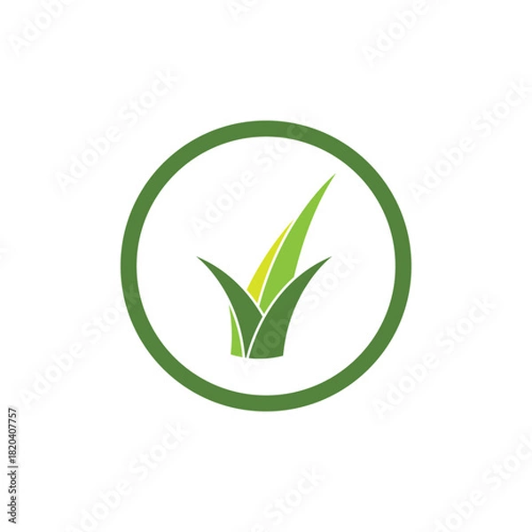 Obraz Grass logo vector and symbol design