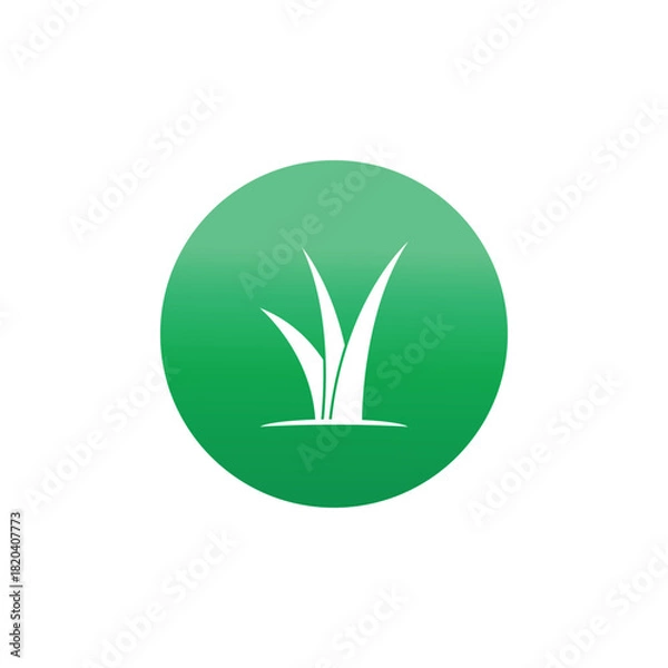 Obraz Grass logo vector and symbol design
