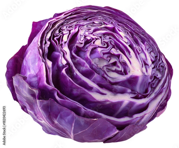 Fototapeta Vibrant cross-section of deep purple cabbage revealing layered leaves and white core