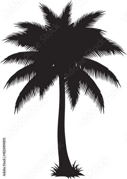 Fototapeta Palm Tree SVG Bundle