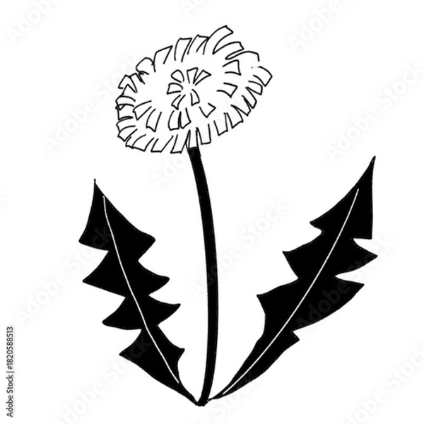 Obraz たんぽぽの手書きイラスト