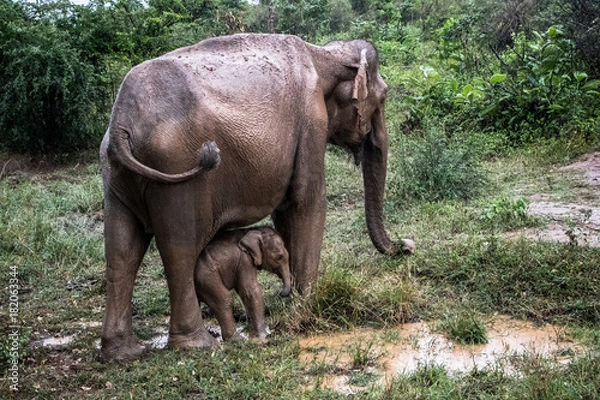 Obraz Don't go too far