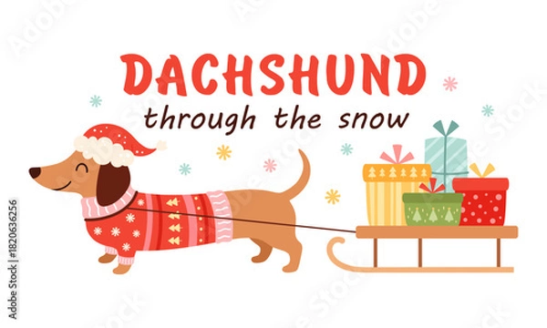 Fototapeta Merry Christmas Dachshund Through The Snow Design. Preppy Xmas Dachshund Dog Illustration. Tis The Season Sausage Dog. Festive Animal Meme Shirt Print.