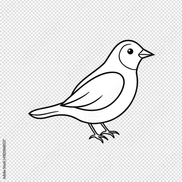 Fototapeta Charming hand drawn outline of a small bird standing on its legs with a clean transparent background for easy integration
