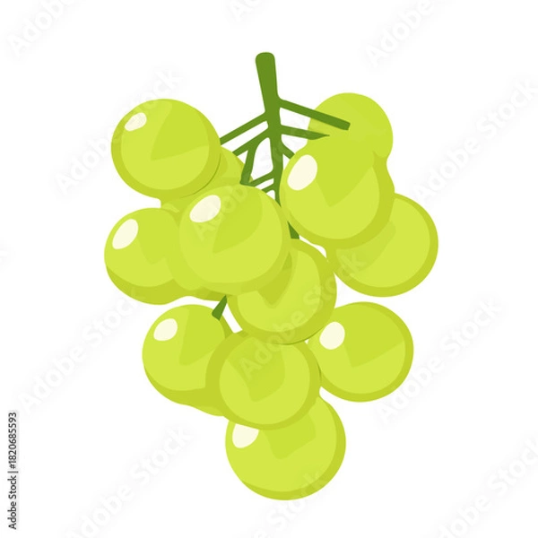 Fototapeta Icon clipart, Minimalistic 2D flat icon featuring a sliced_green_grape isolated on a white background, an element in vector and EPS format