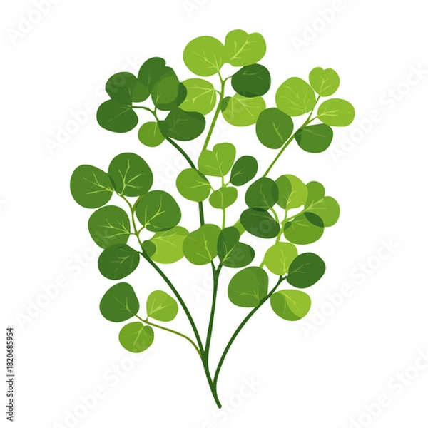 Fototapeta Minimalistic 2D icon featuring a sorrel_leaves isolated on a white background, an element in vector and EPS format, Icon clipart set