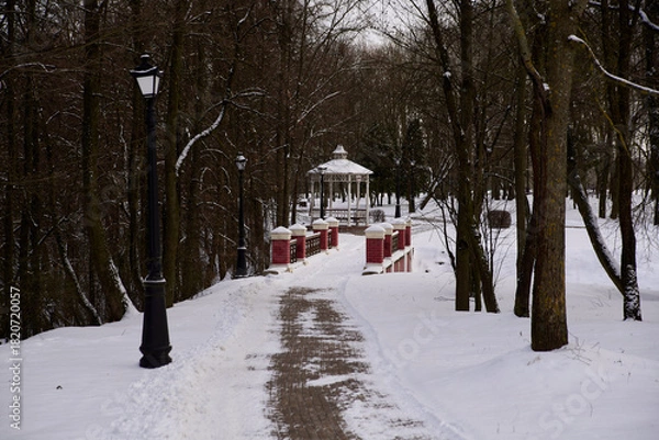 Obraz winter in the park