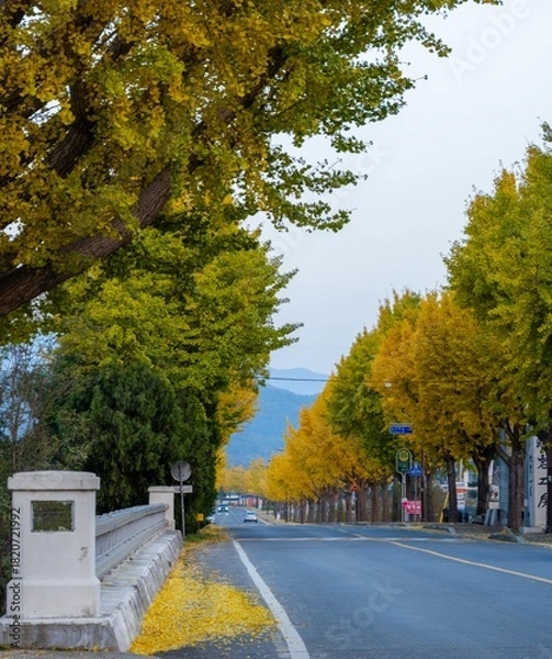 Obraz 경주 통일전 가는 길