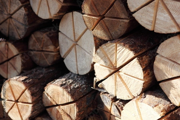 Obraz スウェーデントーチ