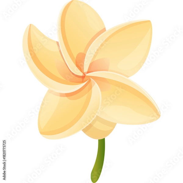 Fototapeta Isolated Cream Colored Flower With Green Stem On Transparent Background And Soft Petal Edges