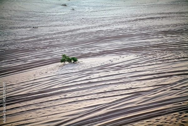 Obraz Wadi Rum landscape, Jordan