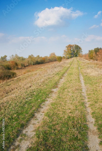 Fototapeta landscape
