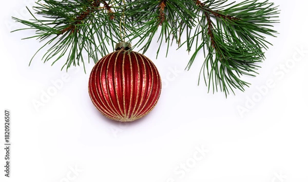 Obraz Pine branch with red bauble