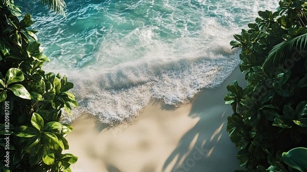 Obraz Tropical beach waves, sunlight, lush foliage, overhead view, vacation.