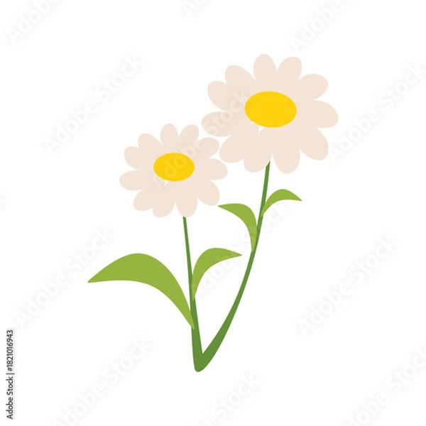 Obraz Flat Illustration of Chamomile Flower and Leaves