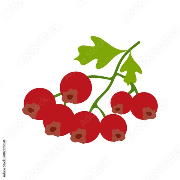 Fototapeta Flat Illustration of Hawthorn Branch with Red Berries
