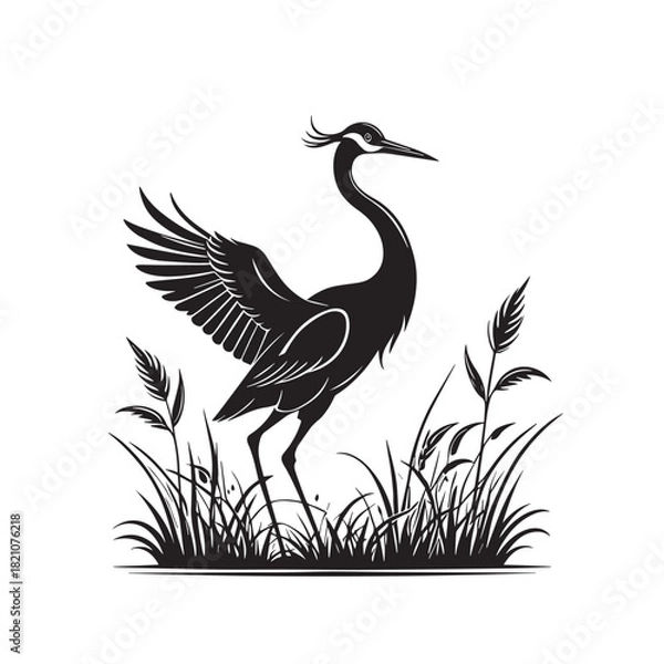 Fototapeta Exotic crane or heron bird
