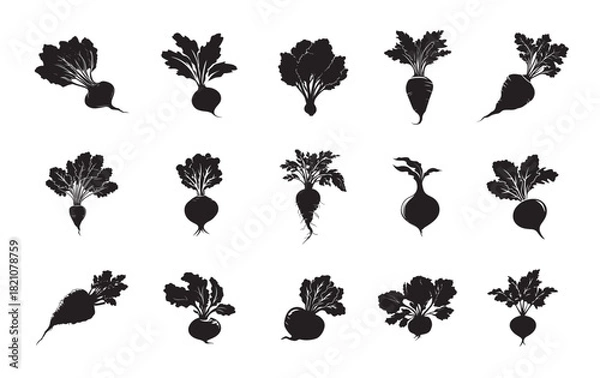Fototapeta Monochrome Collection of Black Beetroot Silhouettes on a White Background