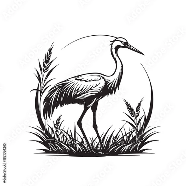 Fototapeta Exotic crane or heron bird
