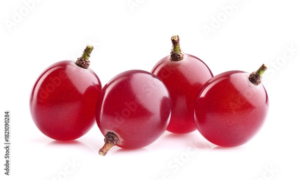 Obraz Red grapes in closeup on white background
