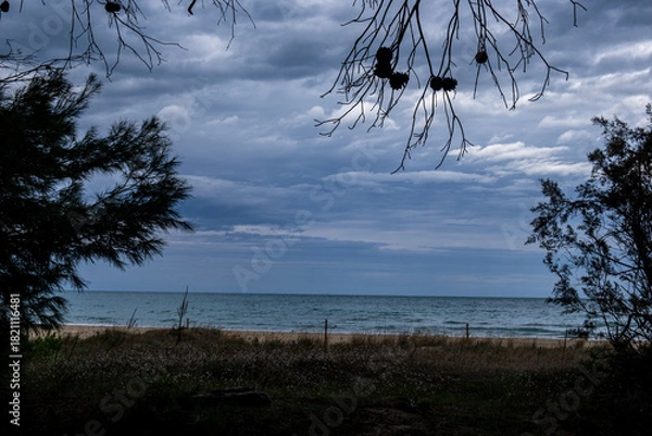 Fototapeta The Adriatic Sea under darkening storm clouds, surrounded by lush vegetation and tree branches on a secluded beach