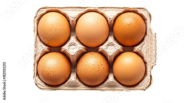 Obraz Six brown eggs in carton isolated on a transparent background