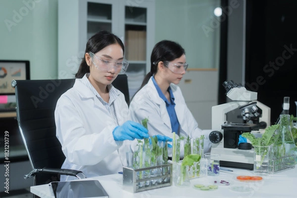 Fototapeta Two Asian female scientists analyze plant and meat samples in a modern laboratory, using microscopes and documenting results to improve food quality, safety, biotechnology,agricultural innovation
