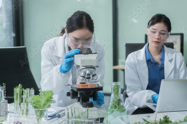Fototapeta Two Asian female scientists analyze plant and meat samples in a modern laboratory, using microscopes and documenting results to improve food quality, safety, biotechnology,agricultural innovation