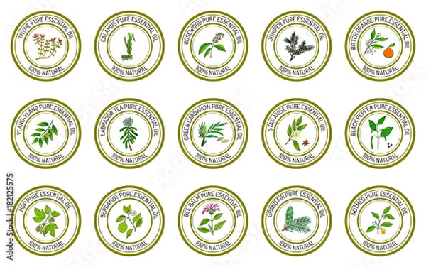 Fototapeta Set of essential oil labels
