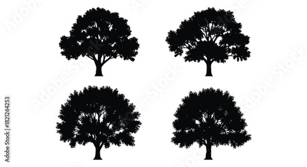 Fototapeta Four detailed broadleaf tree silhouettes vector set. graphic elements representing nature and environment ecology. isolated on white background, Vector, illustration