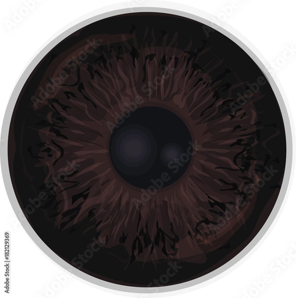 Obraz Eye iris -  Realistic vector  - Eye iris vector texture - Dark Brown,