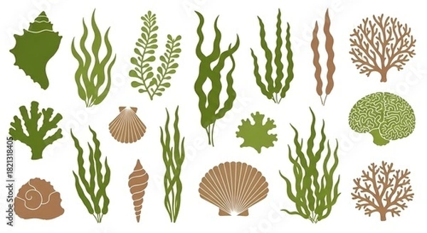 Fototapeta Diverse underwater flora and fauna illustration featuring seaweed, shells, and coral