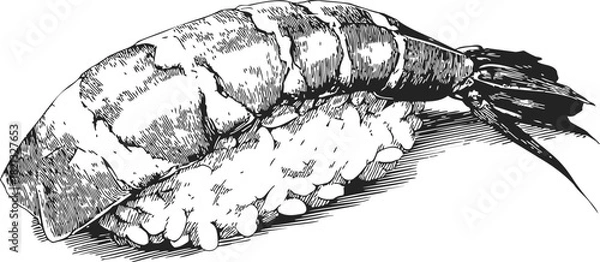 Fototapeta Shrimp sushi hand drawn sketch, detailed nigiri with rice and shrimp topping. Vector illustration