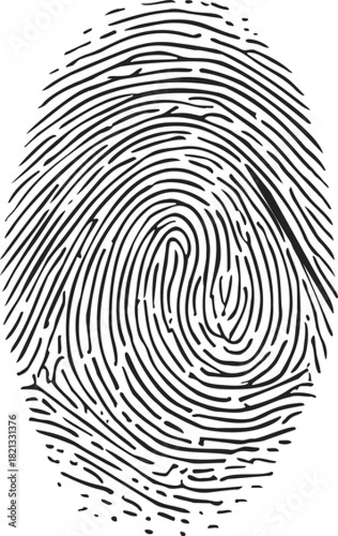 Obraz Fingerprint sketch hand drawn style with detailed whorl and ridge patterns. Vector illustration