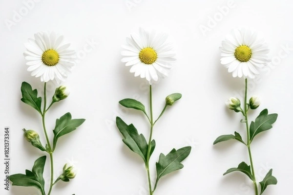 Obraz A serene landscape featuring a tranquil lake nestled amidst verdant hills, with a solitary figure standing on the shore, gazing into the water.