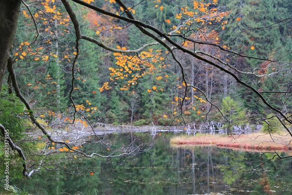 Obraz autumn branch ower lake water surface