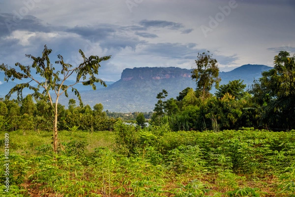 Obraz Uganda nature with the Mount Elgon national park in the background. This is close to Mbale.