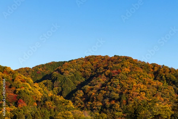 Obraz 秋の京都の山と夕刻の青空・日本