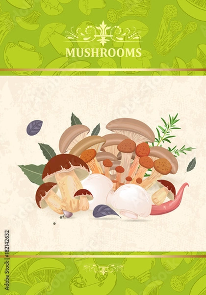 Fototapeta vintage banner with mushrooms and herbs for your design
